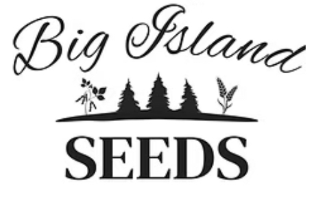 Logo-Big Island Seeds